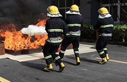 Novatron 2021 통합 운동